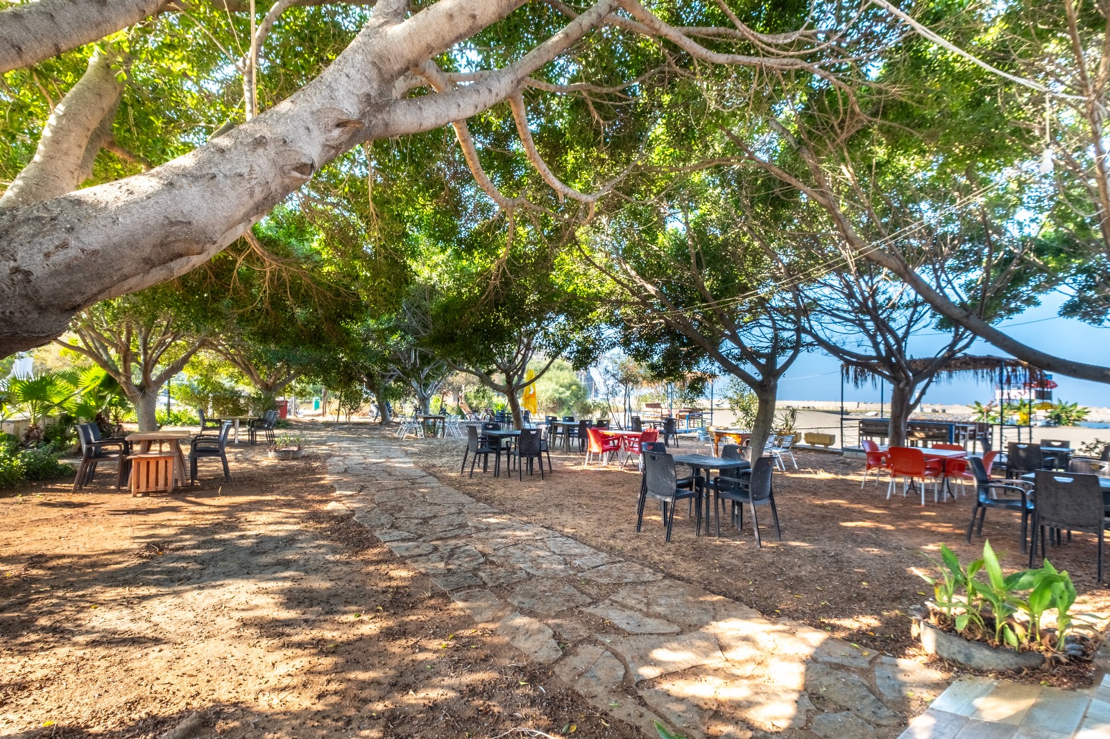 Selinus Beach PLAJ BAR